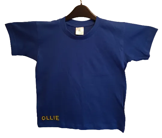 I HAVE SUPER POWERS Blue T-shirt