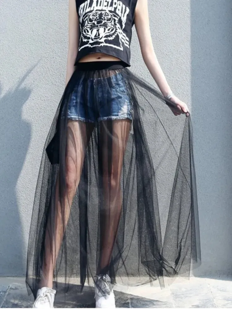 Mesh Lace Maxi Skirt