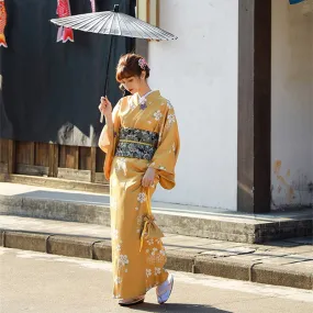 Traditional Kimono Wabi-Sabi